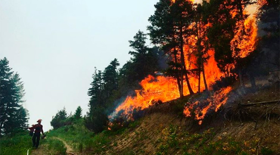 Thousands forced to evacuate as wildfires close in on city in Canada (PHOTOS)