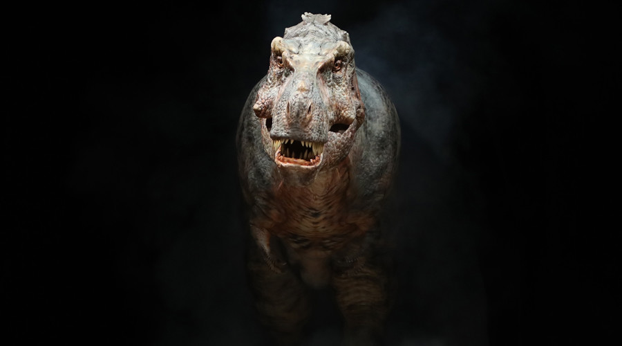 Human could have outrun T-Rex, research says