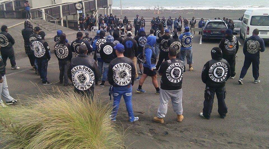 New Zealand gangs launch ‘fight club’ to tackle violence