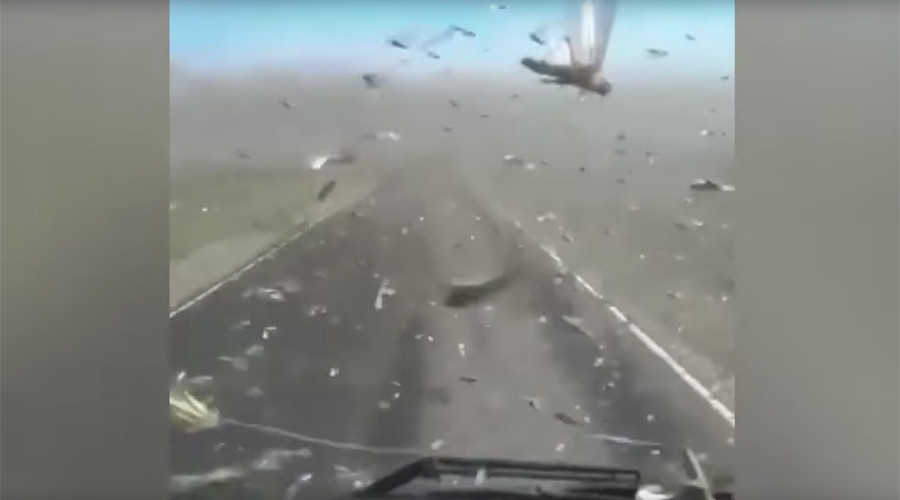‘Locust plague’: Insects invade southern Russian region (VIDEO)
