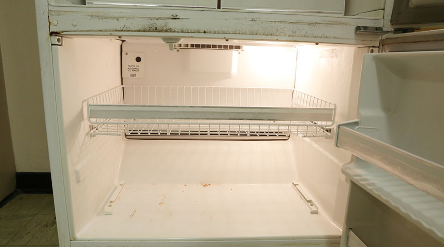 Teenage girl found chopped up in freezer in suspected honor killing