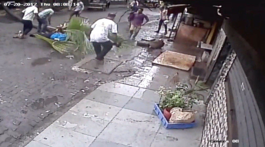 Freak accident sees TV presenter crushed by falling palm tree in Mumbai (GRAPHIC VIDEO)