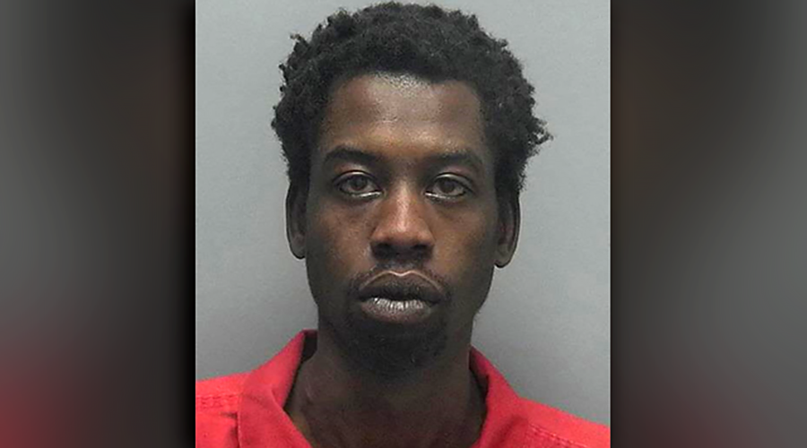 Florida man stabs dog to death ‘because it always took girlfriend’s side’ – reports