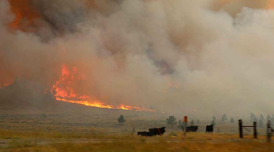 Largest active US wildfire burns 250k acres in Montana