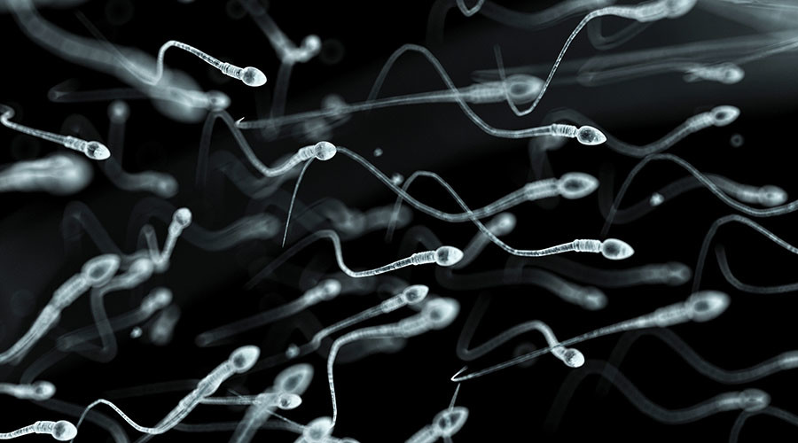 Humanity at risk as sperm levels among Western men plummet to record low