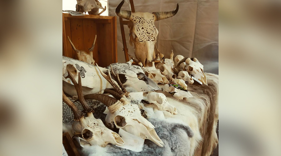 Russian artist transforms dead animals’ skulls into mesmerizing artwork (PHOTOS)