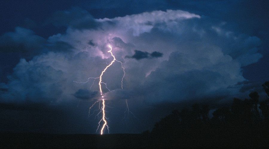 Hero dog & pilot help save 2 girls struck by lightning in Utah