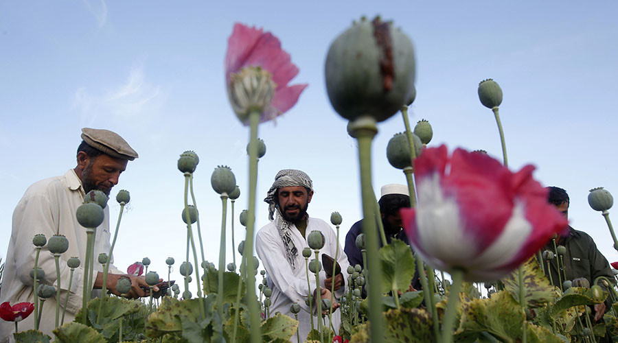 'It’s US baby, and I’m not proud of it - Afghanistan is world’s biggest drug dealer'