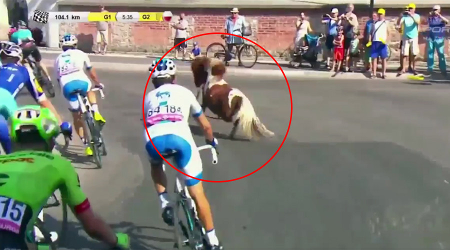 Foaling around: Runaway pony joins bike race in Poland (VIDEO)