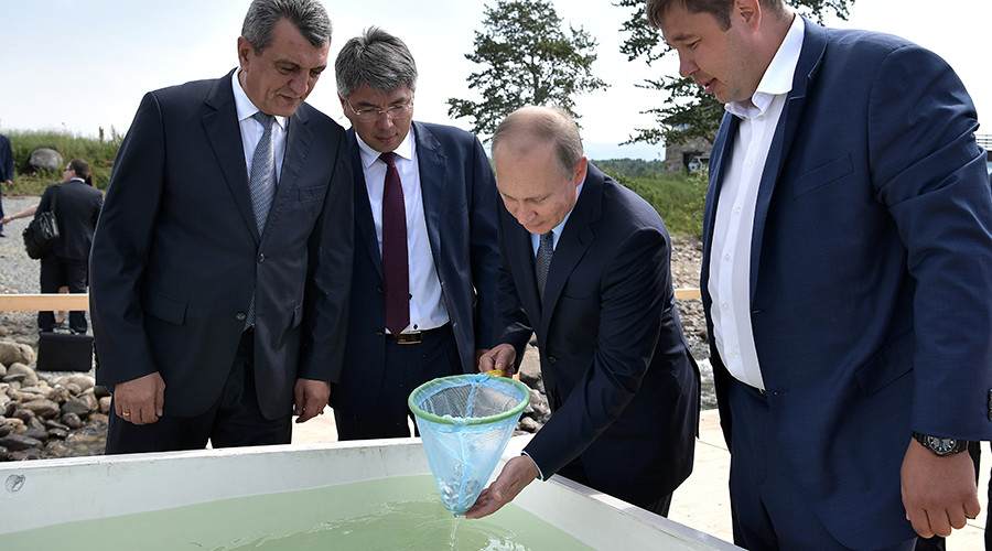 Putin ignores wet shoes warning to release batch of endangered fish into Lake Baikal (VIDEO)