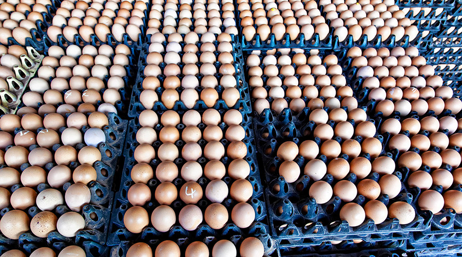 Belgium admits it knew about insecticide-contaminated Dutch eggs back in June