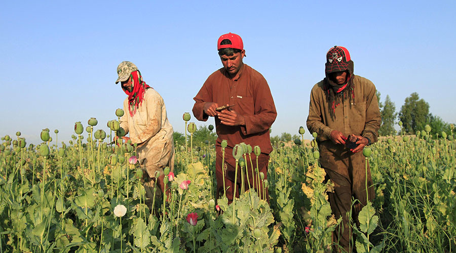 ‘Afghan heroin funded US political campaigns and black ops’