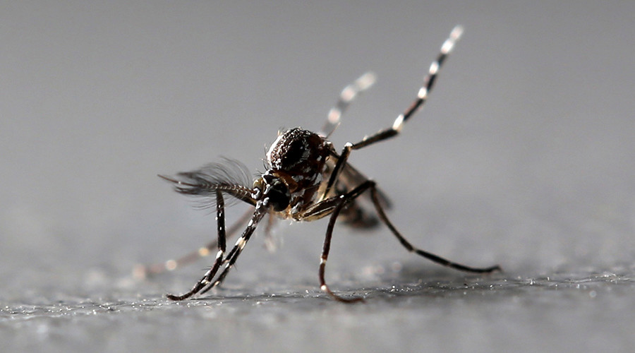 Twitter bites back: Mosquito killer banned for posting bloody death pic