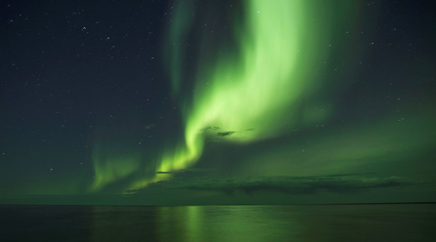 Solar storms cause sperm whales to beach in North Sea, study suggests