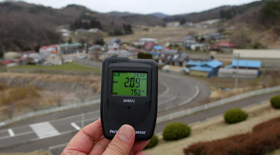 Russia to help Japan clean up Fukushima disaster – Putin