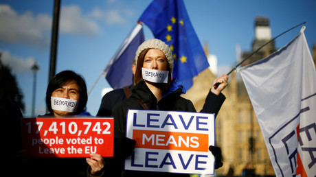 Pro-Brexit demonstrators outside the Houses of Parliament in London. © Reuters / Henry Nicholls