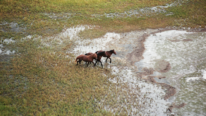 Rostov National Reserve: Chasing the wild horses