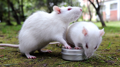 AFP Photo/Mauricio Duenas