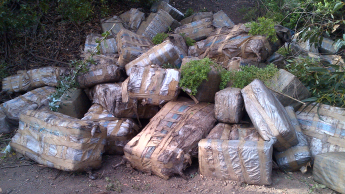 Hot spot: Marijuana worth $4mln found on California beach
