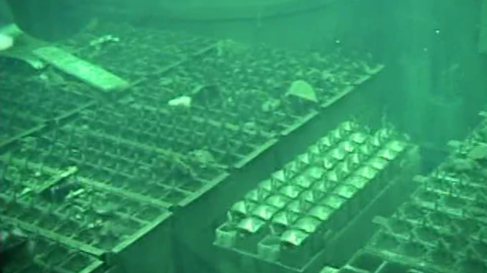One step from meltdown: Rat may have caused dangerous outage at Fukushima NPP