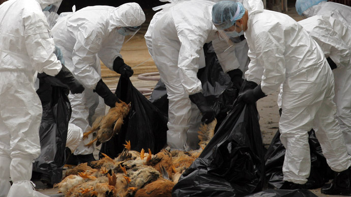 New strain of avian flu kills at least 2 in China — RT News