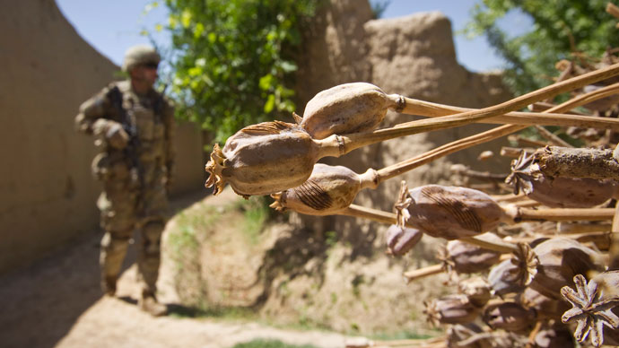 '1mn died' from Afghan heroin, drug production '40 times higher' since NATO op