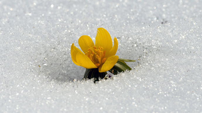Early May snowstorms hit midland US