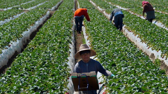 Farmworkers fired for seeking shelter from California wildfire