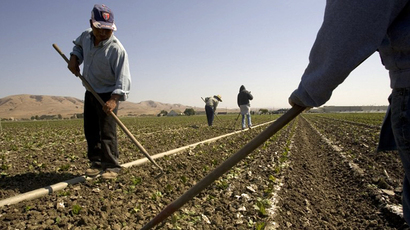 Workers tend to a field at a Earthbound Organic Farm in San Juan Bautista, California. (AFP Photo / David Paul Morris)
