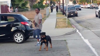 An image grab taken from a video uploaded on YouTube on June 30, 2013 by user@gabriel martinez