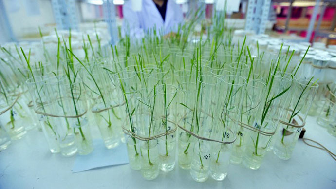 Unapproved GM rice found in US exports to over 30 countries (STORY RETRACTED)