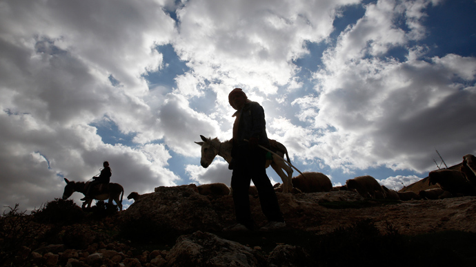 Egyptian farmer arrested for naming donkey after army chief