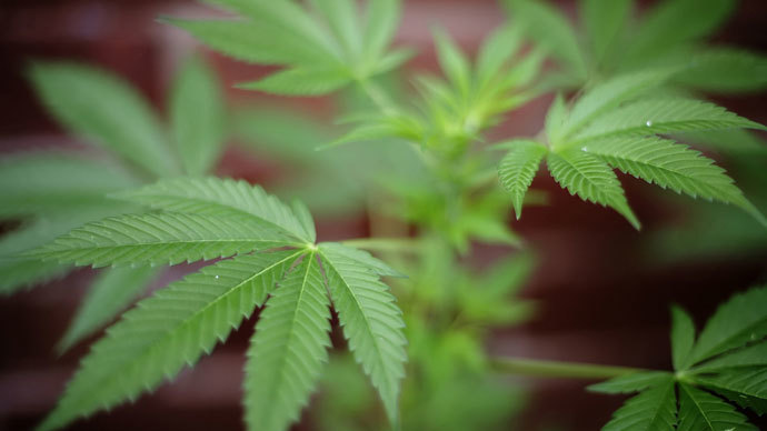 ‘Cannabis for Shiva:’ UK couple cleared of $450,000 drug dealing