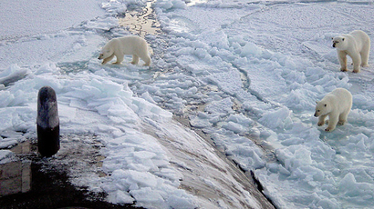 Three polar bears approach USS Honolulu near the North Pole (Photo by US Navy)