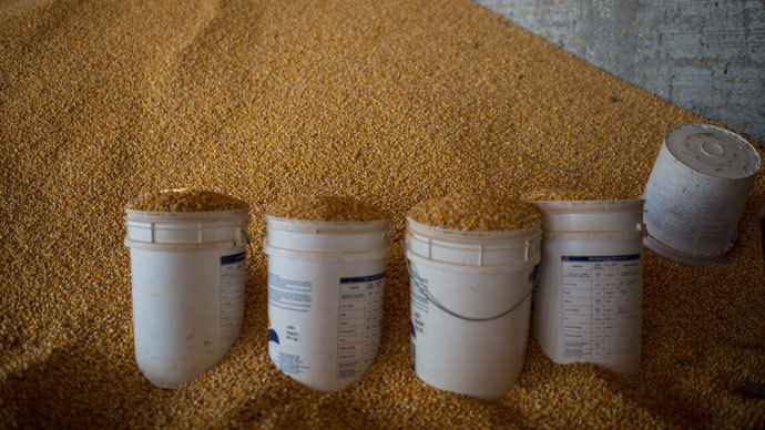 China rejects fifth US corn cargo in a month, citing GMO strain
