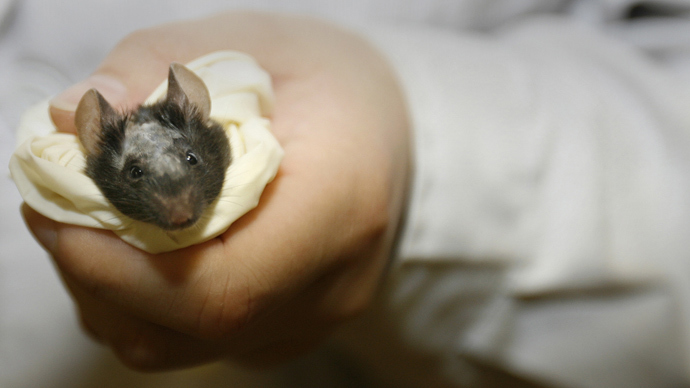 ‘The curious case of Benjamin Mouse’: Aging reversal coming soon?
