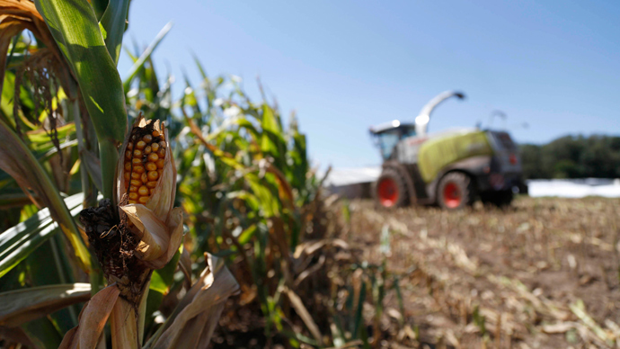 Supreme Court hands Monsanto victory over farmers on GMO seed patents, ability to sue