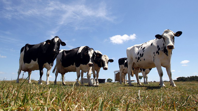 FDA did not act after deeming animal feed antibiotics ‘high risk’ to humans - report