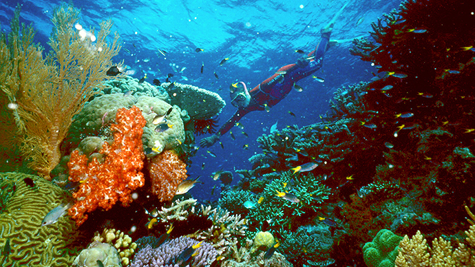 Great Barrier Reef to get backyard mud dump after coal port expansion