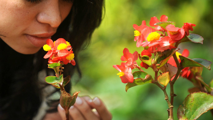 ‘Wake up and smell a trillion things!’ Noses detect billions more smells than previously thought