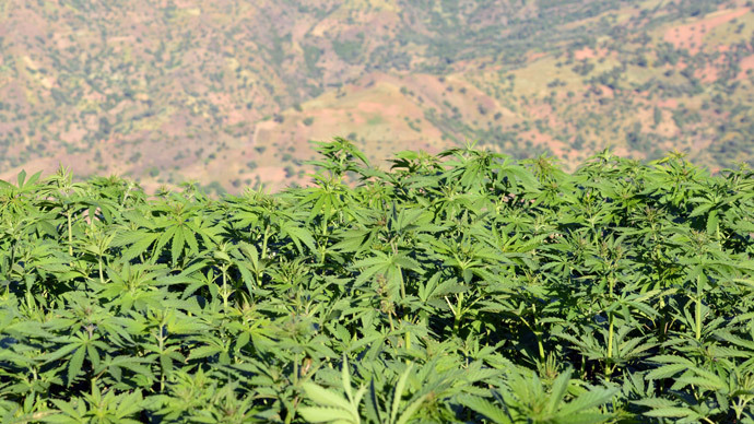 Colorado presents marijuana vending machine