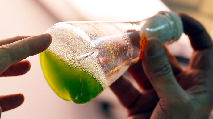 Gasoline better for environment than corn biofuels, study says