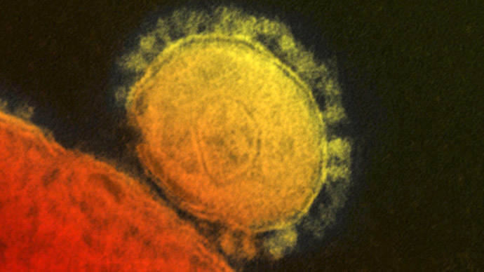 The Middle East respiratory syndrome (MERS) coronavirus is seen in an undated transmission electron micrograph from the National Institute for Allergy and Infectious Diseases (NIAID). (Reuters/National Institute for Allergy and Infectious Diseases)