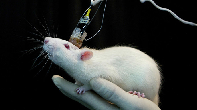 Scientists learn to selectively erase and restore memories in brain