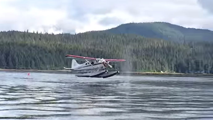 Beware of whales: Plane’s near-miss with giant mammal goes viral (VIDEO)