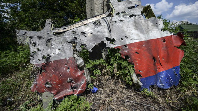 A part of the fuselage of the downed Malaysia Airlines flight MH17 is pictured in a field near the village of Grabove, in the Donetsk region, on July 23, 2014. (AFP Photo / Bulent Kilic)