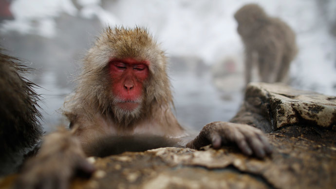 Reuters / Issei Kato
