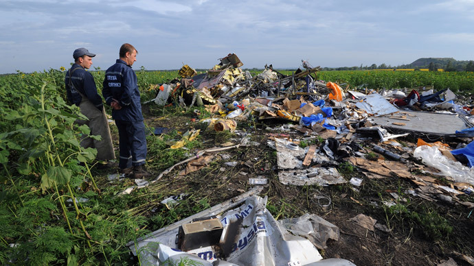 Wreckage of Malaysia Airlines flight MH17 two days after it crashed in a sunflower field near the village of Rassipnoe, in east Ukraine, on July 19, 2014. (AFP Photo / Dominique Faget)