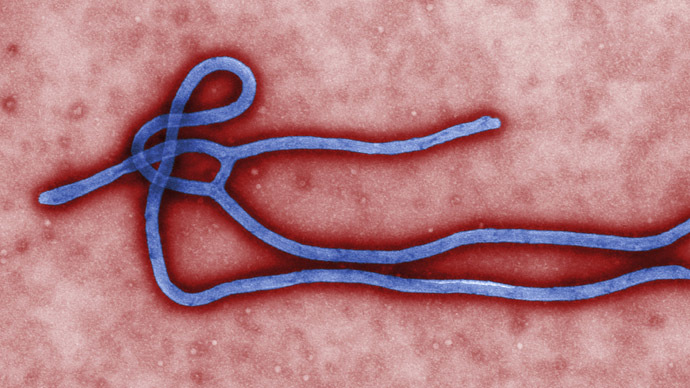 Some of the ultrastructural morphology displayed by an Ebola virus virion is revealed in this undated handout colorized transmission electron micrograph (TEM) obtained by Reuters August 1, 2014. (Reuters)