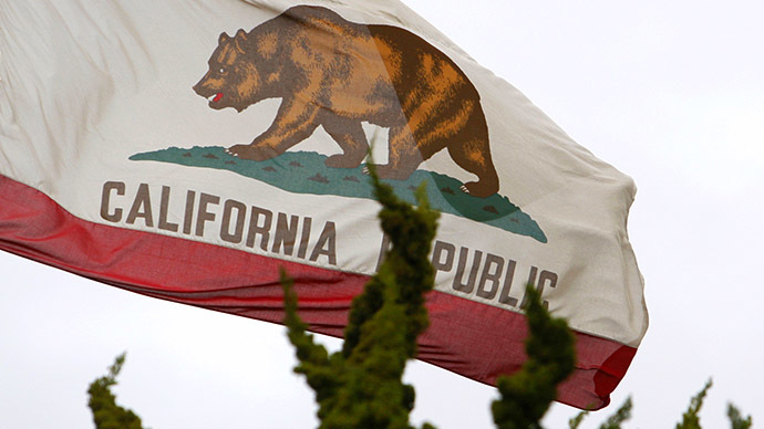California flag (Reuters / Lucy Nicholson)
